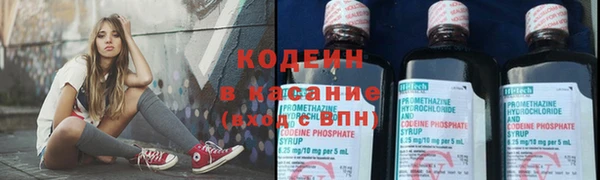 прущие грибы Алексин