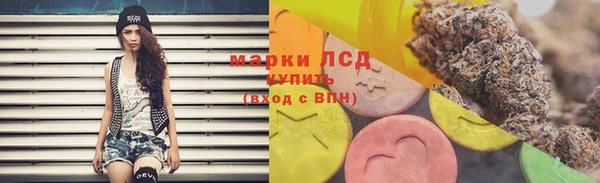 прущие грибы Алексин