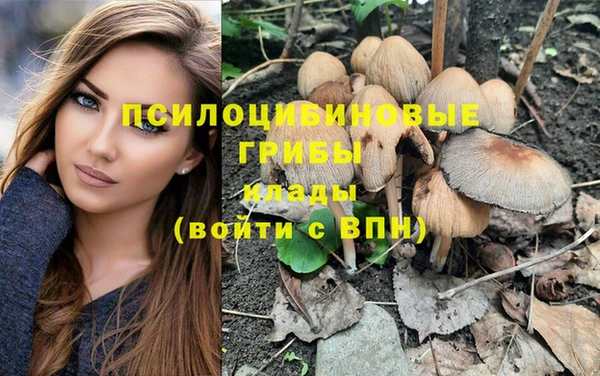 прущие грибы Алексин