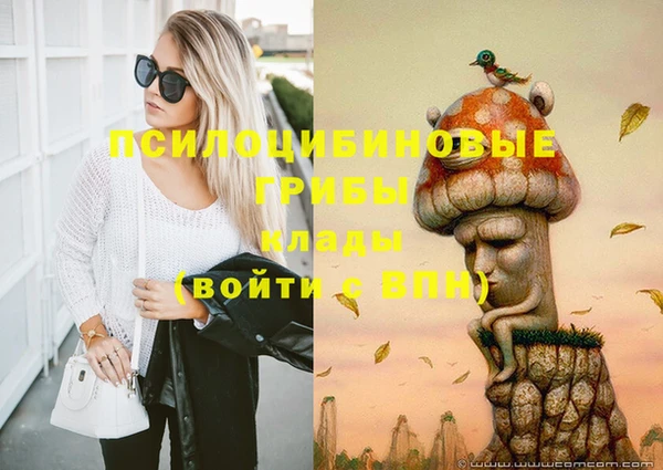 прущие грибы Алексин